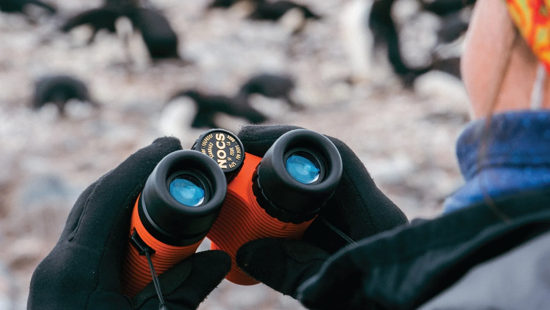 Nocs Standard Issue 8X Waterproof Binoculars - Cypress