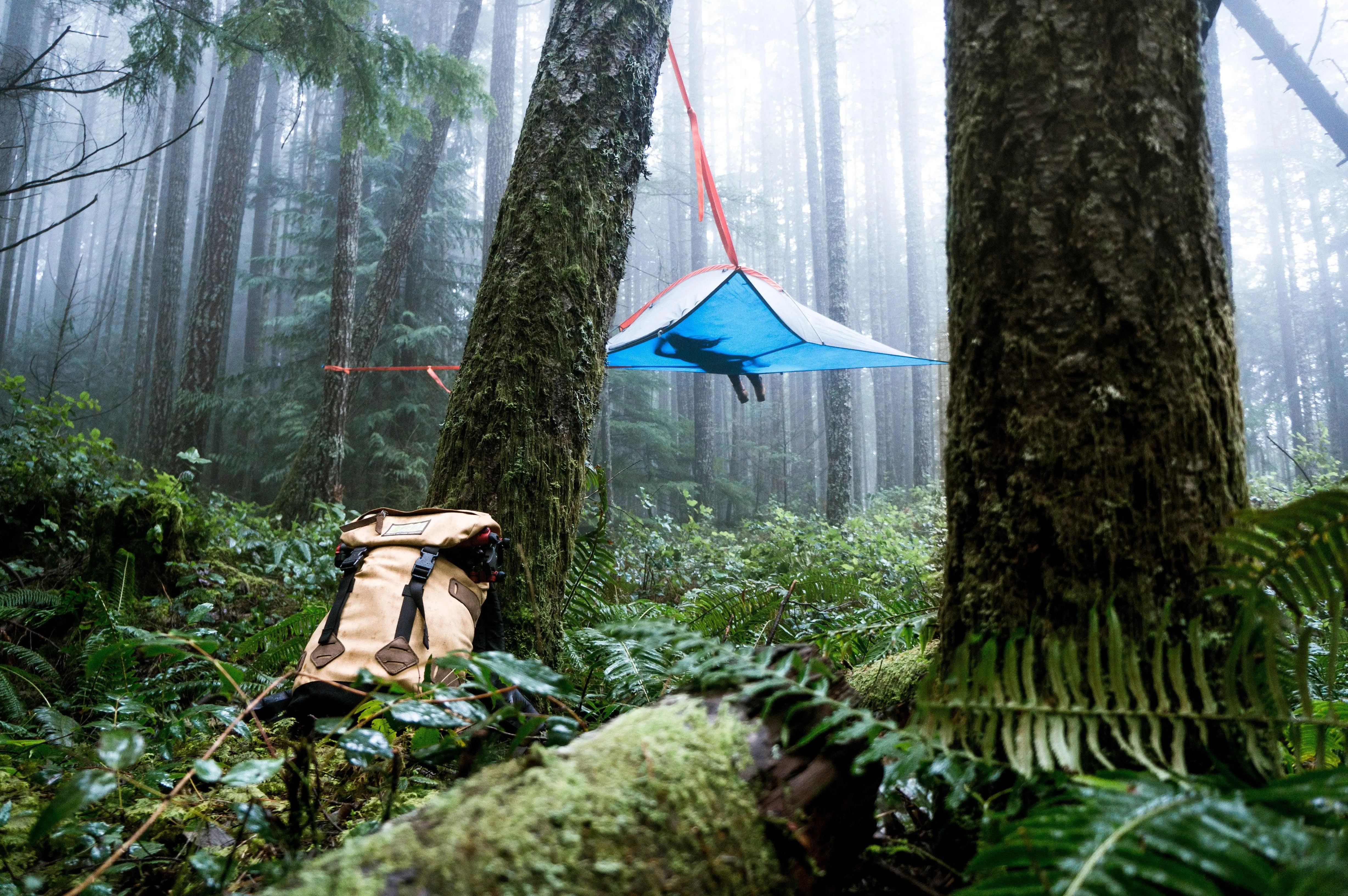 Tentsile Flite 2 Person Tree Tent (3.0)